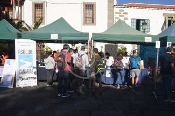 I Feria de Participación Ciudadana y del Voluntariado de Telde (Foto TA)